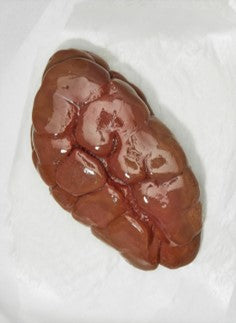 Fresh Beef Kidney - 500 grams